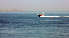 心ない事をするな～！！！