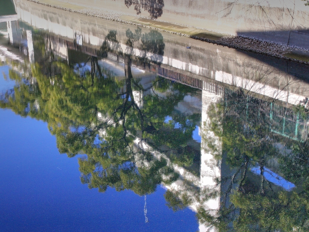 初春の川面-4
