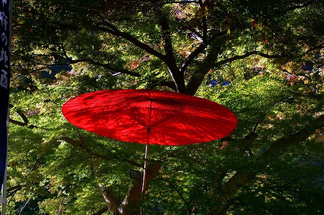 紅葉さん、お先に