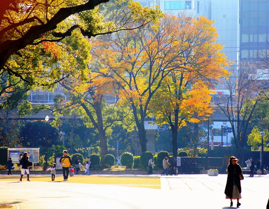 秋の横浜公園-222