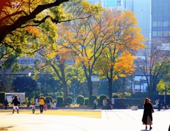 秋の横浜公園-222