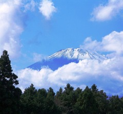 足柄から遠望