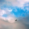 私の空 