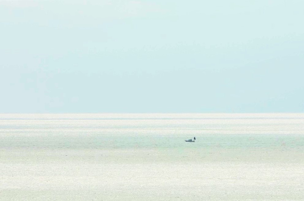 太平洋よその名のごとく静かなれ
