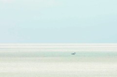 太平洋よその名のごとく静かなれ