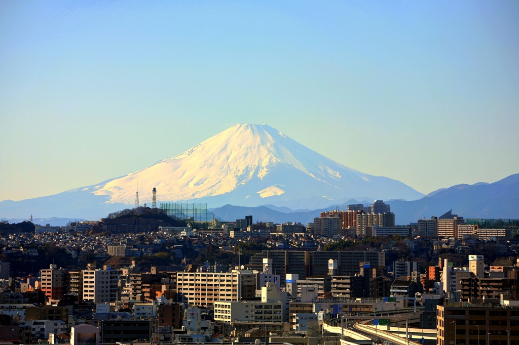 横浜からの富士