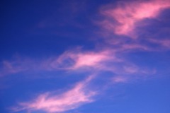 夕焼けの翼 