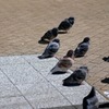 おら知らねぇ