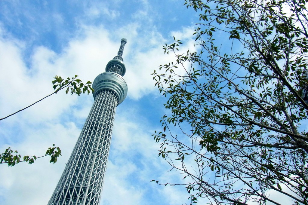 sky tree