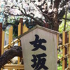 女坂