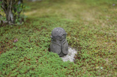 圓光寺　初夏