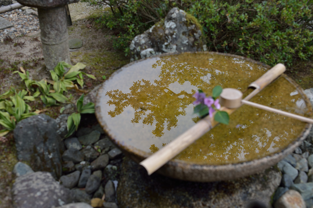 圓光寺　初夏