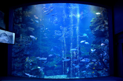 京都水族館