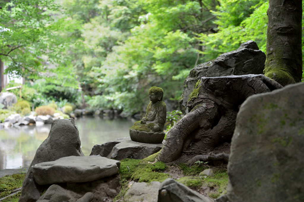 蓮華寺