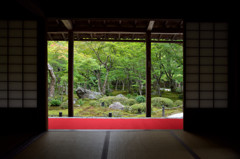 圓光寺　初夏
