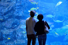 京都水族館