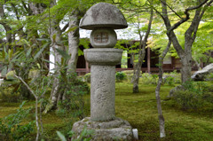 圓光寺　初夏