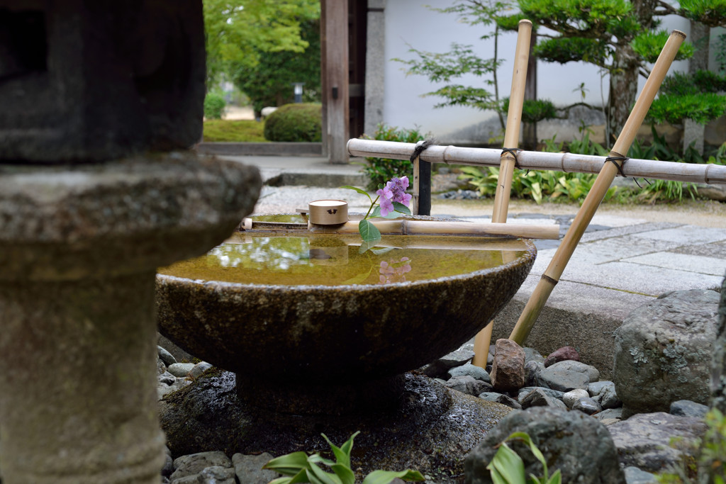 圓光寺　初夏