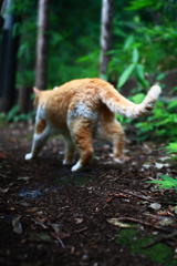 歩き出し・・・