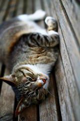 そうでもないけど・・・