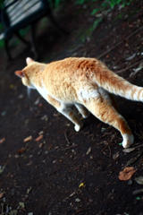 去っていくのね。