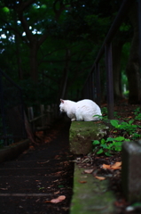 奥行。