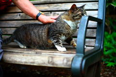 触られるのちょっとイヤ。