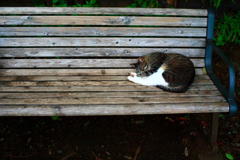 私のべスポジ。