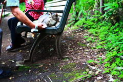 ちょっとだけ愛想。