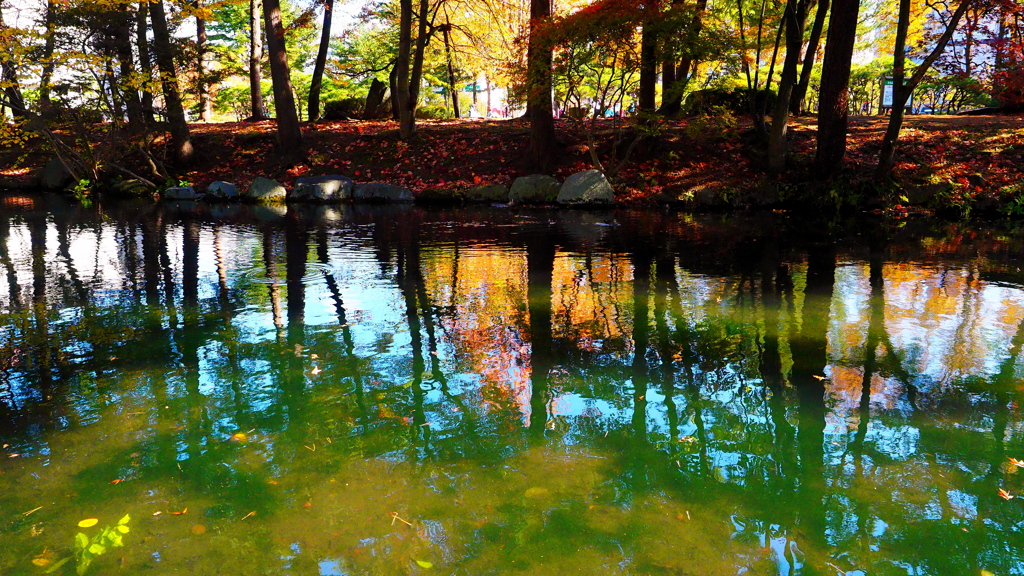 盛岡城址公園の紅葉