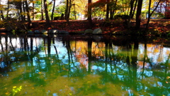 盛岡城址公園の紅葉
