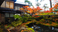 EM1-12-40mm旧池田氏庭園 