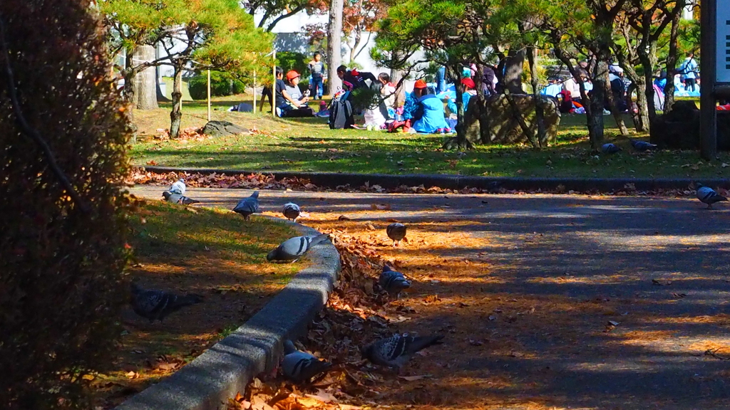盛岡城址公園の紅葉
