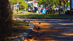 盛岡城址公園の紅葉