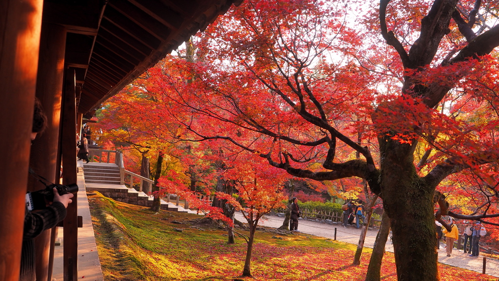 国宝東福寺 (28)