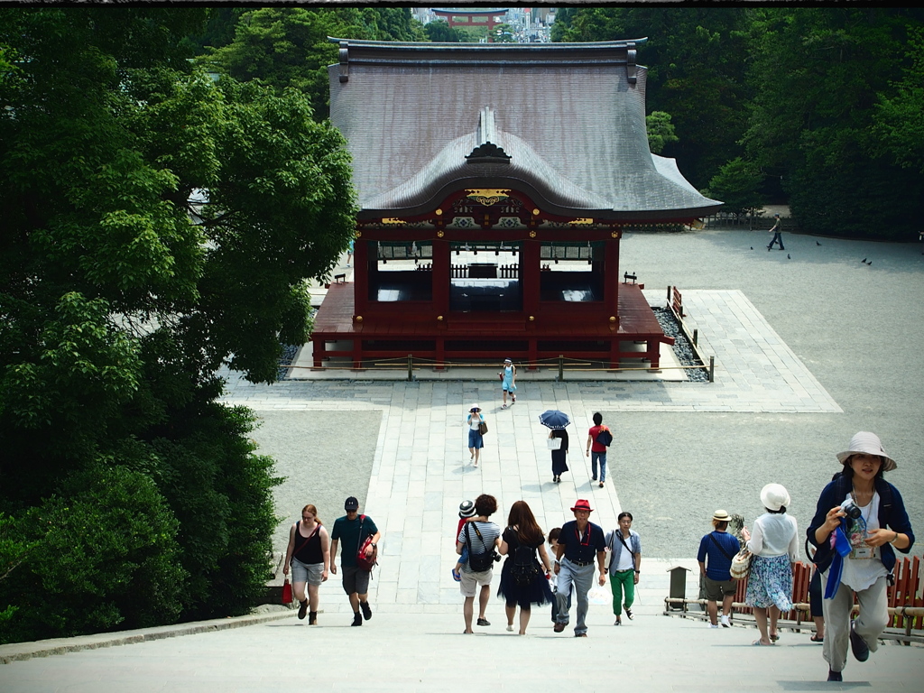 鎌倉鶴岡八幡宮 (2)