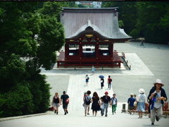 鎌倉鶴岡八幡宮 (2)