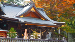 盛岡城址公園の紅葉