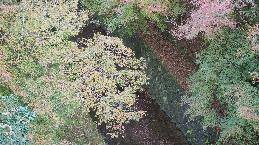 国宝東福寺 (32)