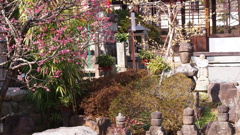 伊豆半島EPM2-45mm (120)