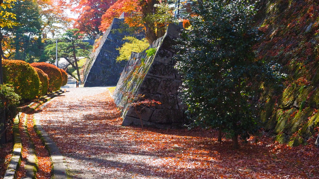 盛岡城址公園の紅葉