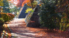 盛岡城址公園の紅葉