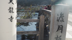E-M1-12-40mm嵐山 渡月橋 (2)
