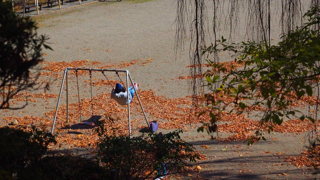 盛岡城址公園の紅葉