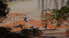 盛岡城址公園の紅葉