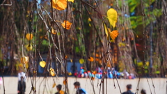 盛岡城址公園の紅葉