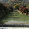 嵐山１