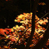 最上山公園