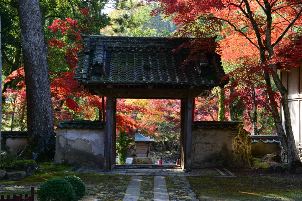 大本山永平寺御直末五鈷山光明寺