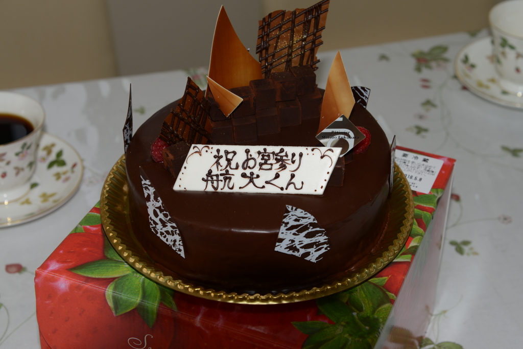 航大